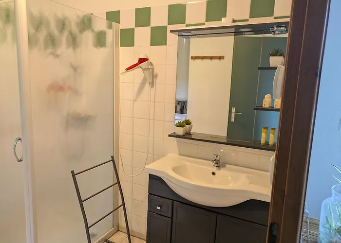 Apartment La Gondromiere 79140 *